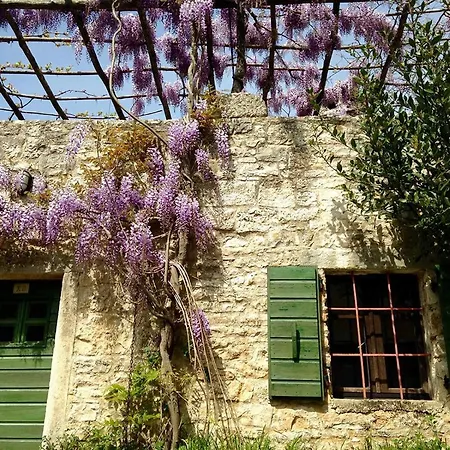 House Arbalovija *