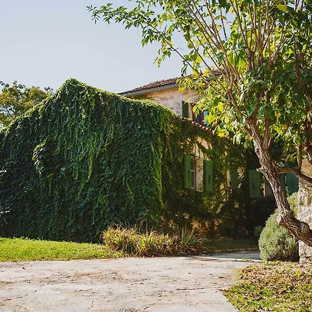 House Arbalovija فيلة Žminj